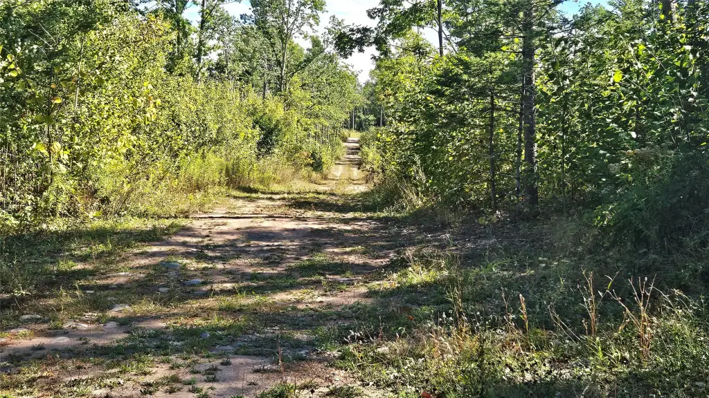 Picture 16