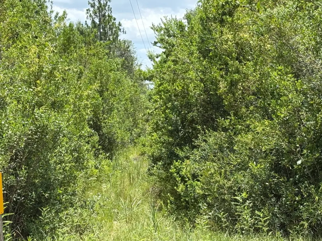 Picture 20