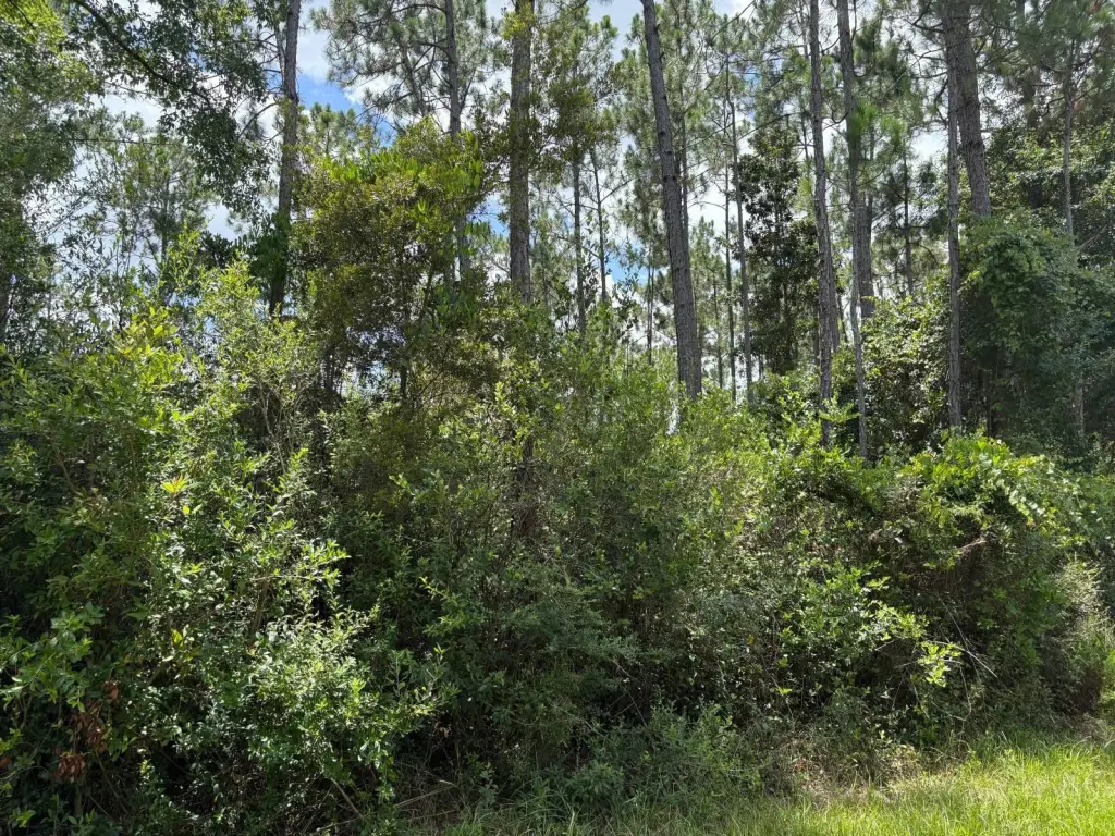 Picture 21