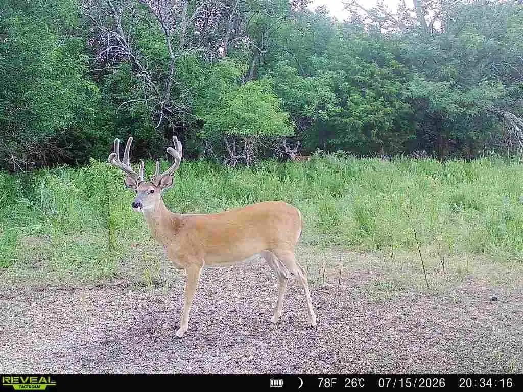 Picture 15