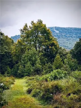 5 Acres Near Jasper, AR