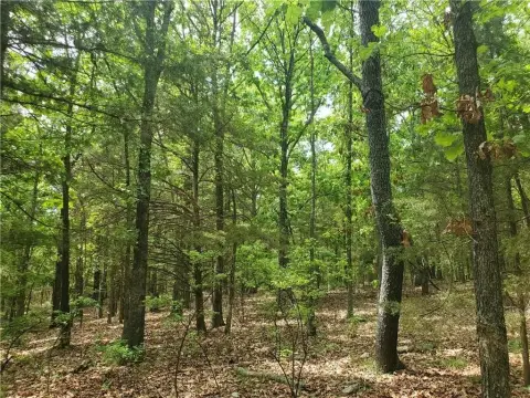 Wooded Lot Near Fayetteville