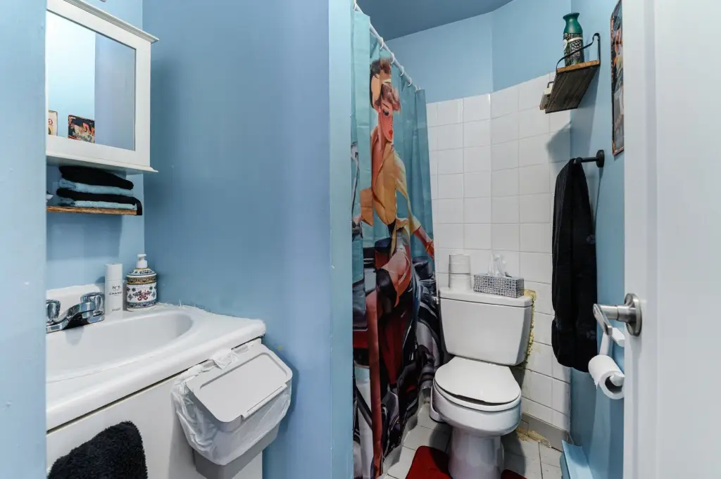 Picture 15