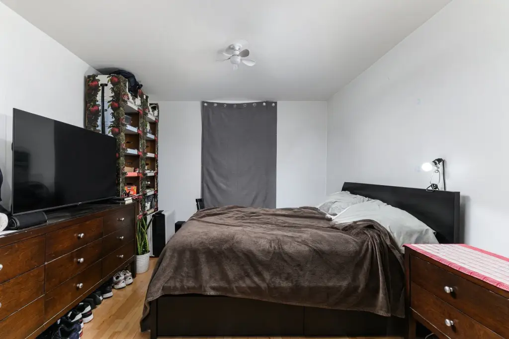 Picture 5