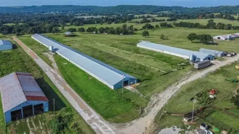 Farm with Five-Barn Complex