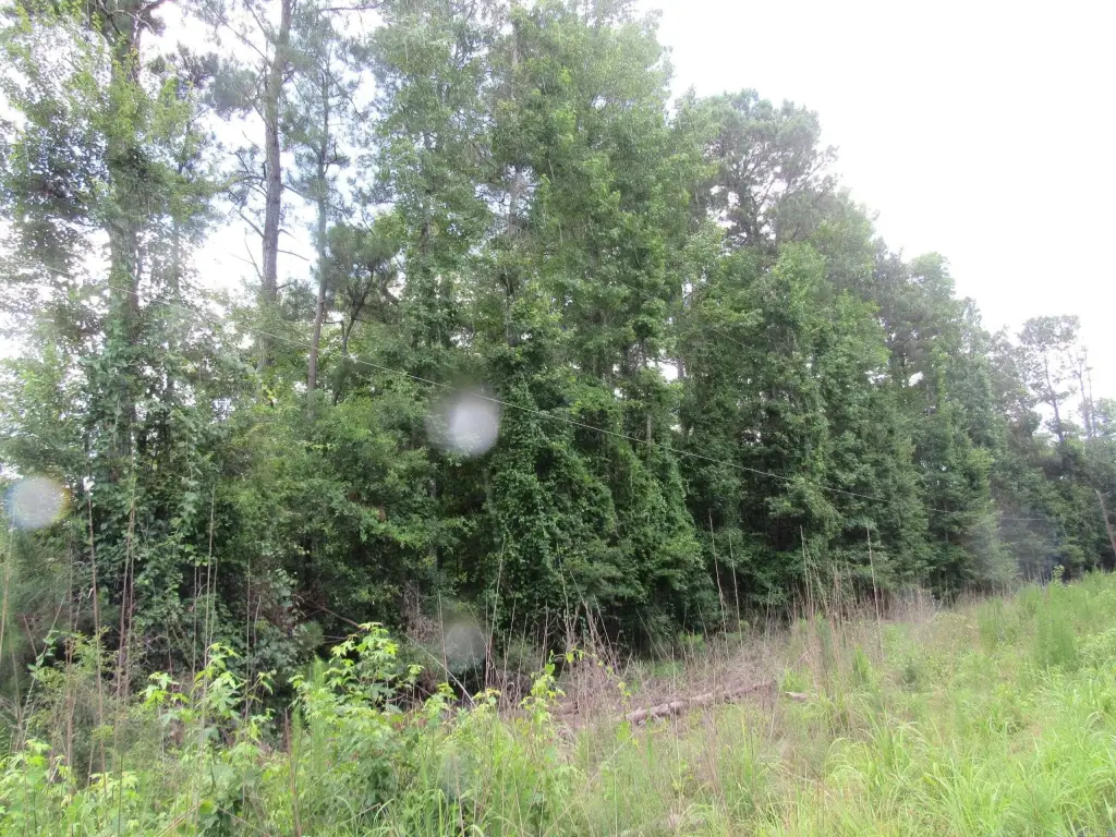 Picture 22