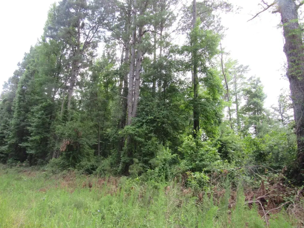 Picture 21