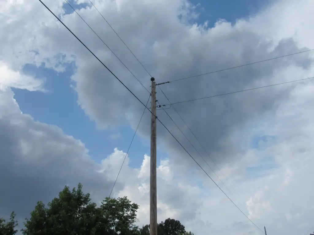 Picture 16