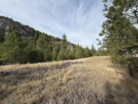 Recreation Land with Rail Trail Access