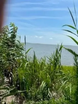 Land with Bay and Ocean Access