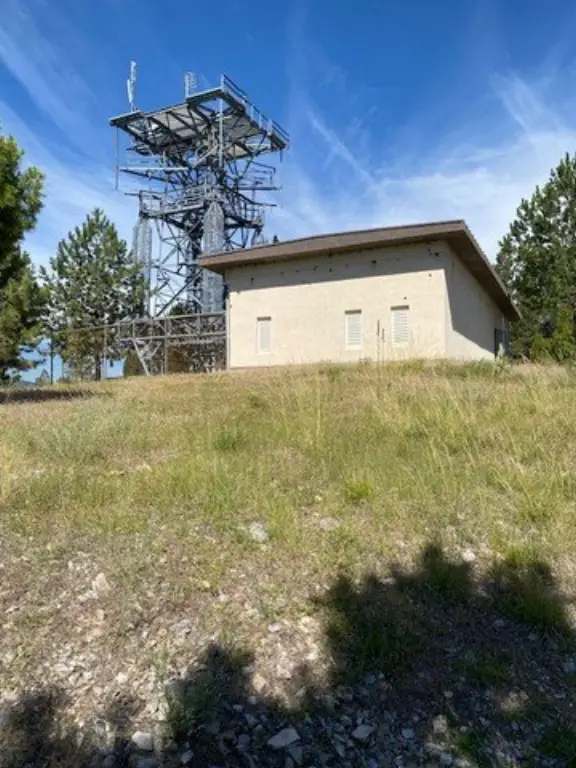 Picture 9