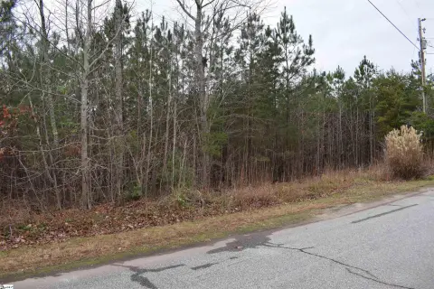 Landrum Residential Lot with Mountain Views