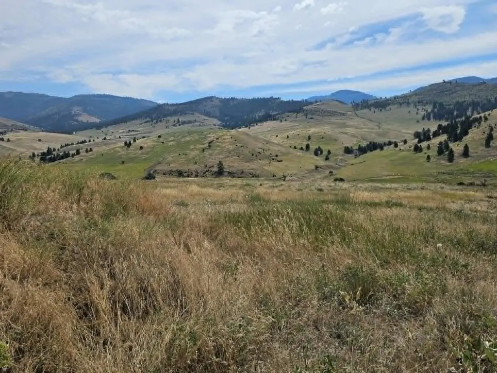 Picture 13