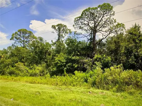 Oversized Buildable Lot in Punta Gorda