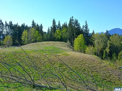 6+ Acres with Mountain Views