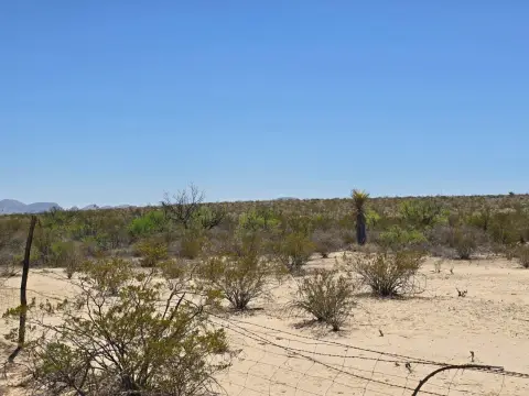 Terlingua Vacant Land on Highway