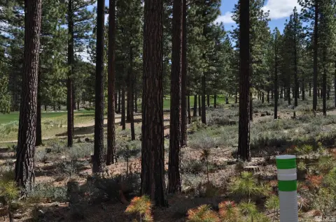 Expansive Homesite in Clear Creek Tahoe
