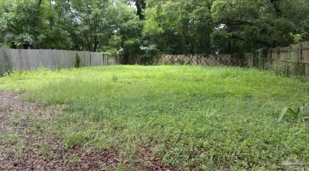 Picture 4