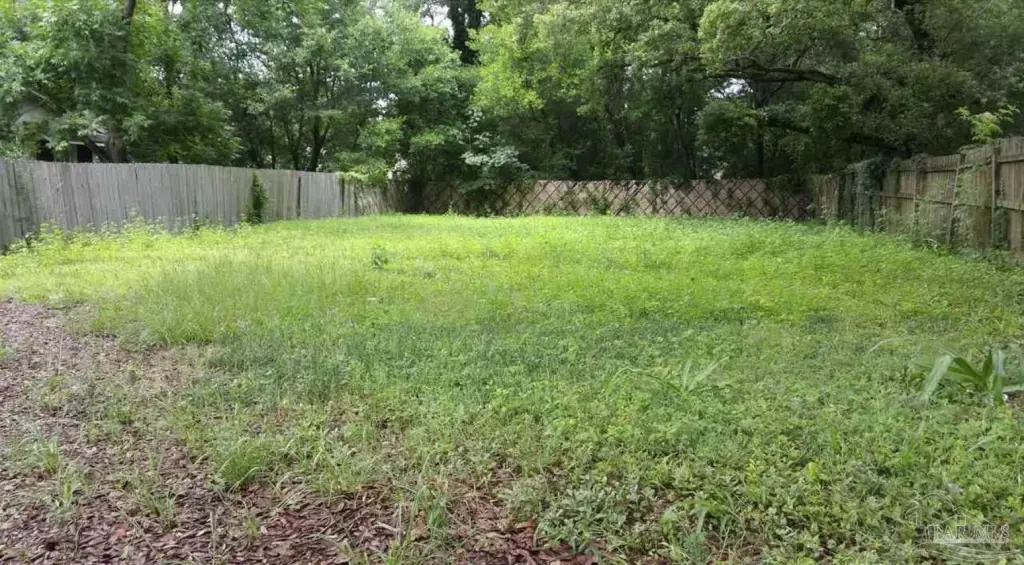 Picture 3