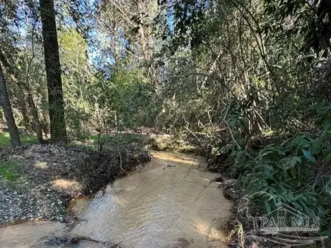 85 Acres Hunting/Recreation Land, Jay, FL