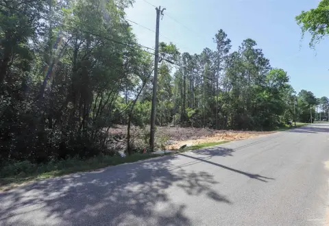 Vacant Lot Ready for Building