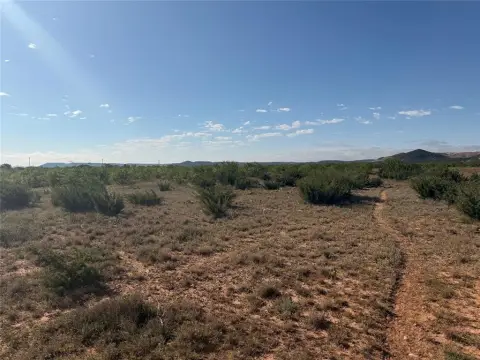 58 Acre Merkel Ranch Land