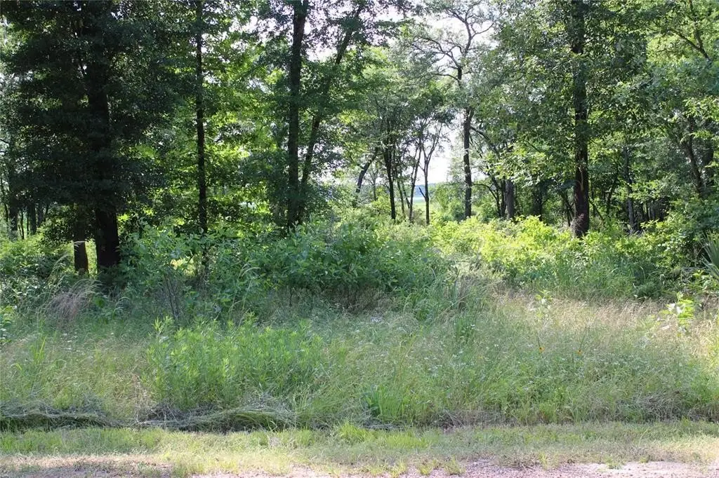 Picture 4