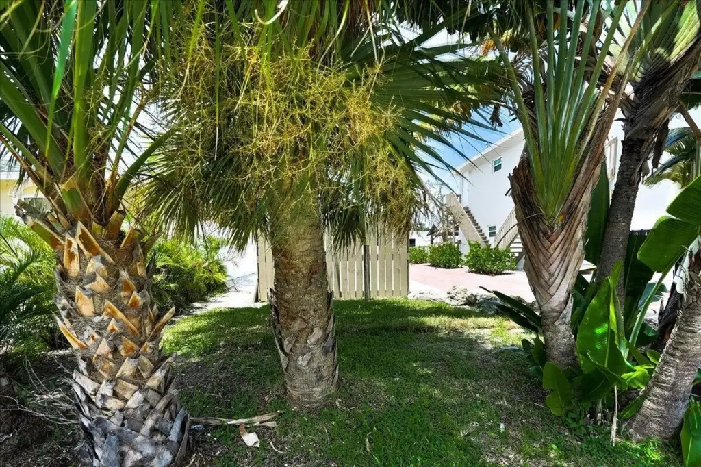 Picture 38