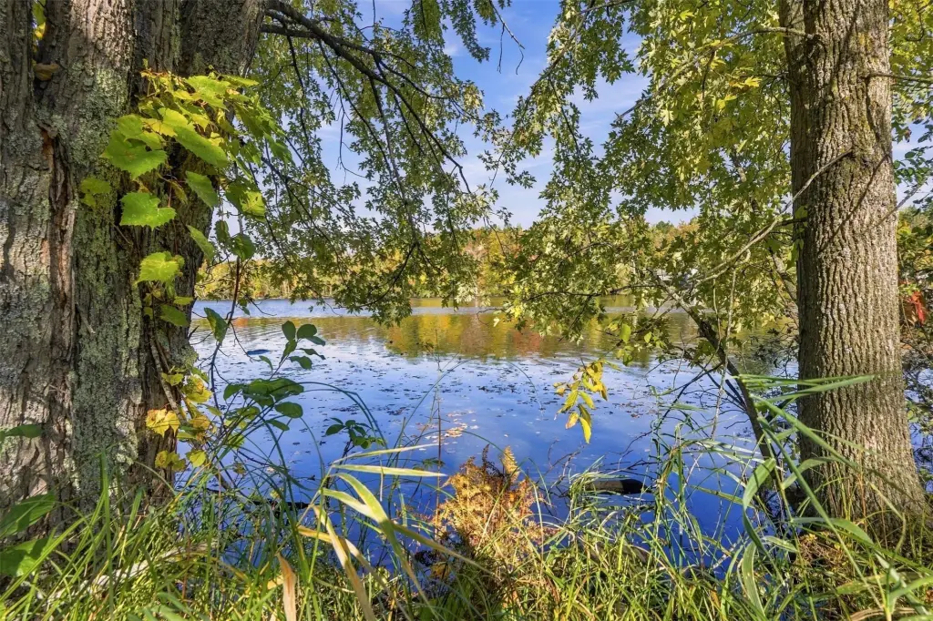 Picture 20