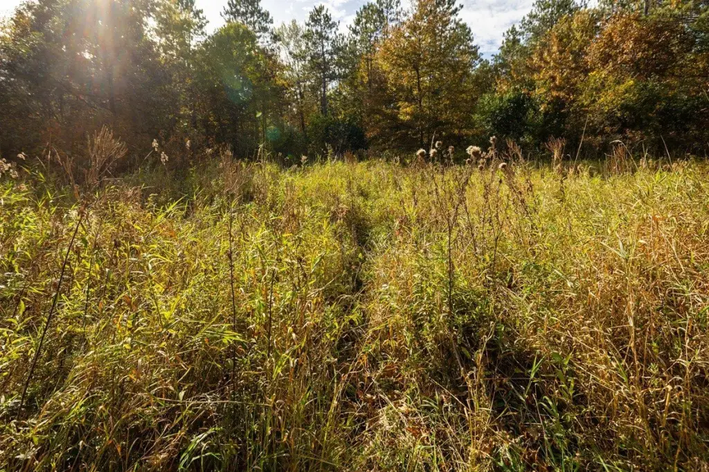Picture 23