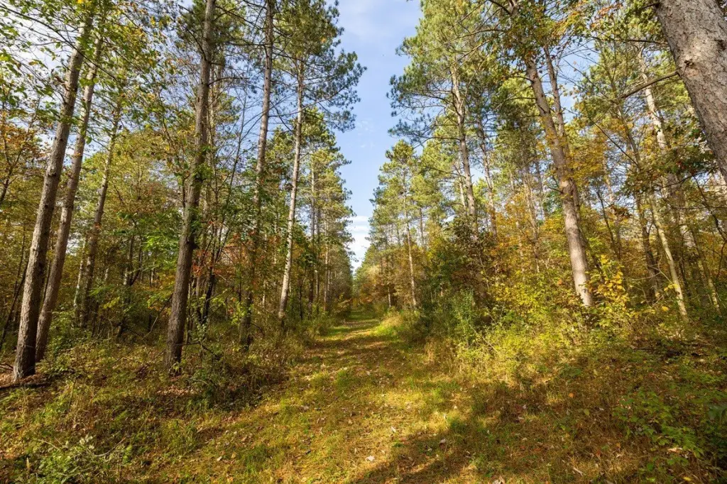 Picture 19