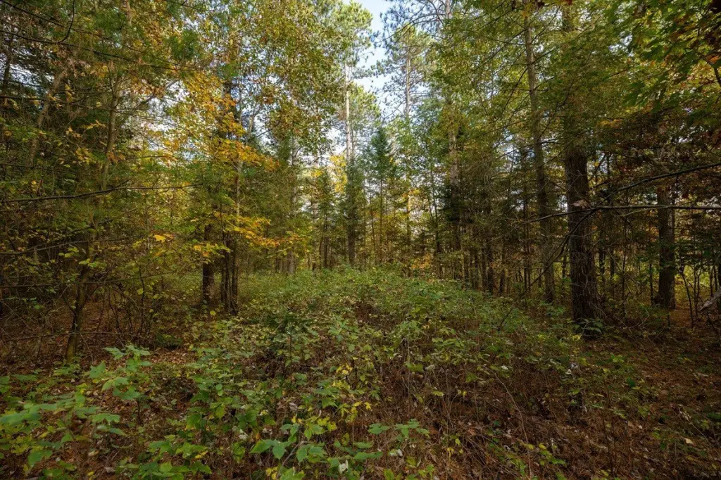 Picture 41