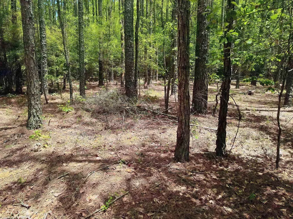Picture 6