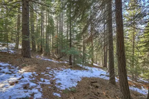 South Lake Tahoe Land Opportunity