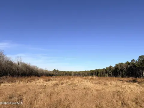 Red Oak Land For Sale