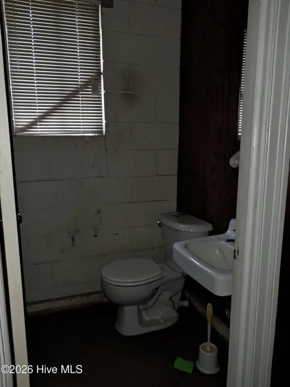 Picture 13