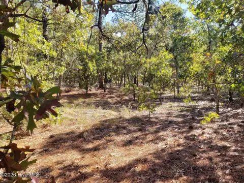 Residential Lot Near Golf Course