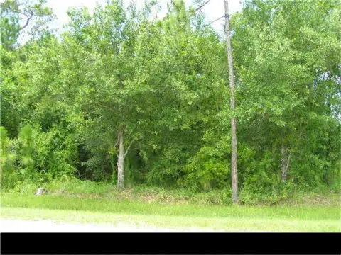 Prime Land in Fellsmere, FL