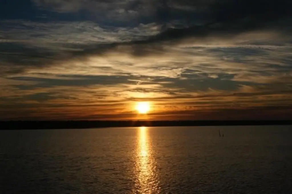 Picture 21