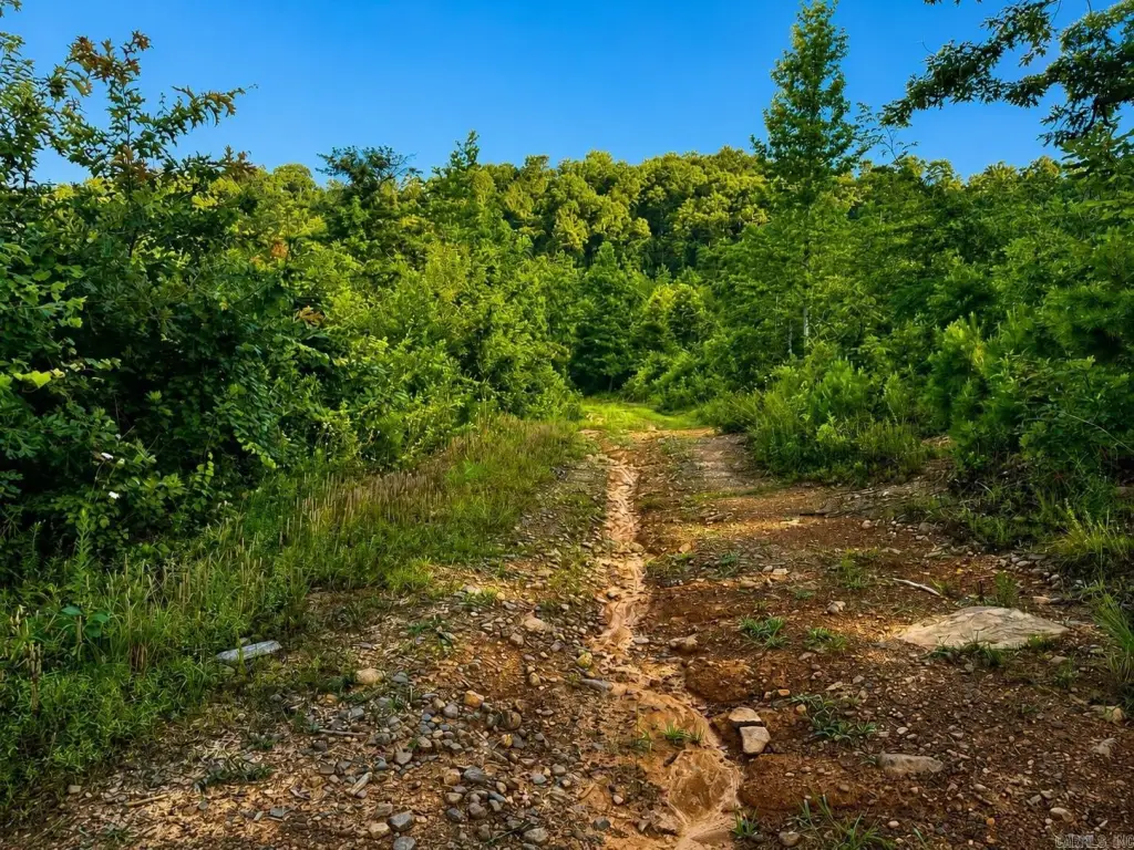 Picture 32