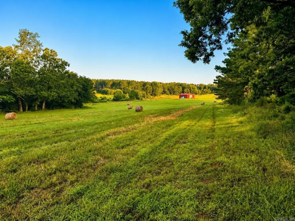 Picture 21