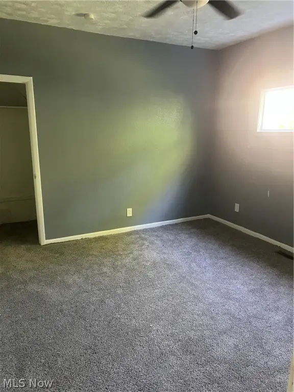 Picture 29