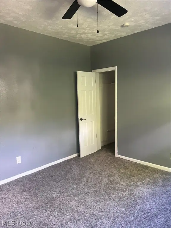 Picture 28