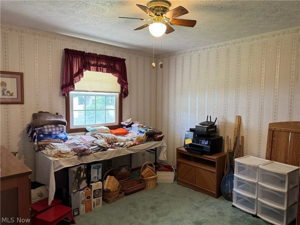 Picture 11