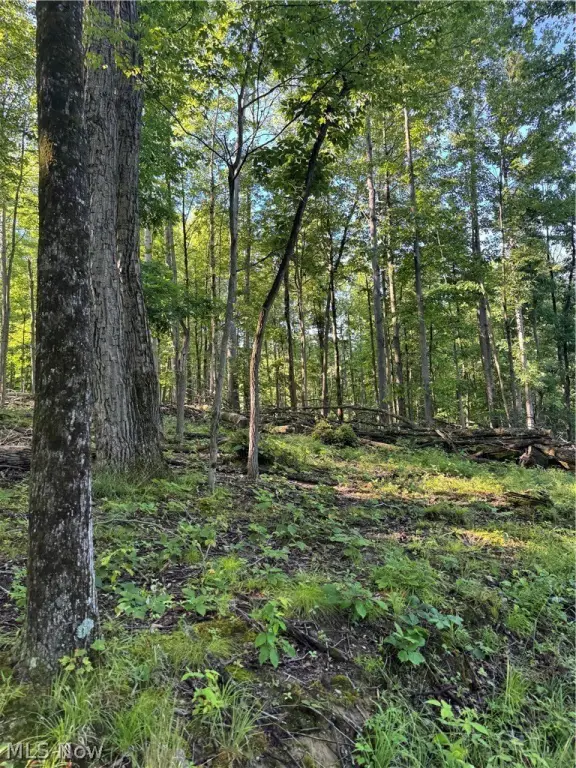 Picture 18
