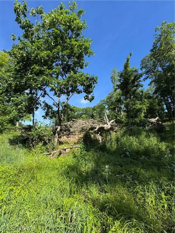 Picture 36