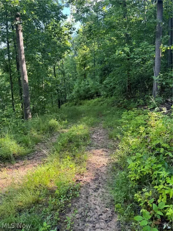Picture 47