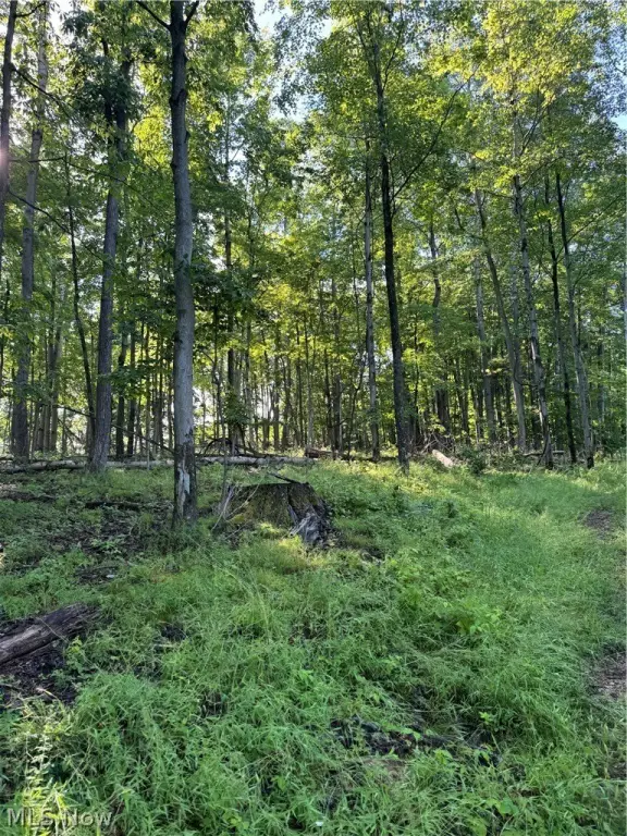 Picture 23
