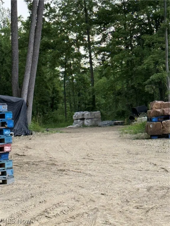 Picture 2