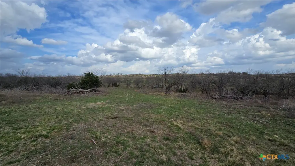 Picture 15